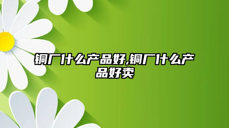 銅廠什么產(chǎn)品好,銅廠什么產(chǎn)品好賣