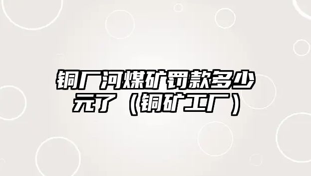 銅廠河煤礦罰款多少元了（銅礦工廠）