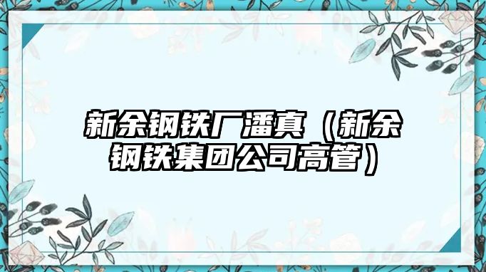 新余鋼鐵廠潘真（新余鋼鐵集團公司高管）