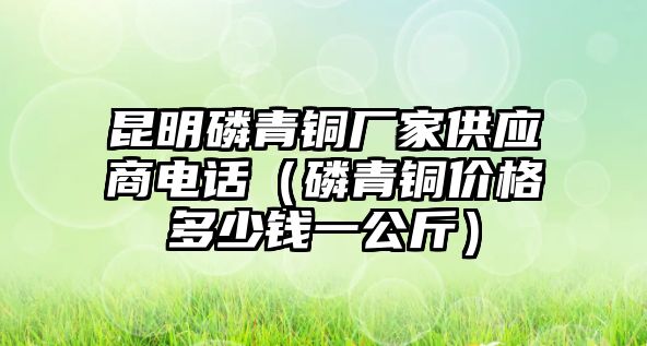 昆明磷青銅廠家供應商電話（磷青銅價格多少錢一公斤）