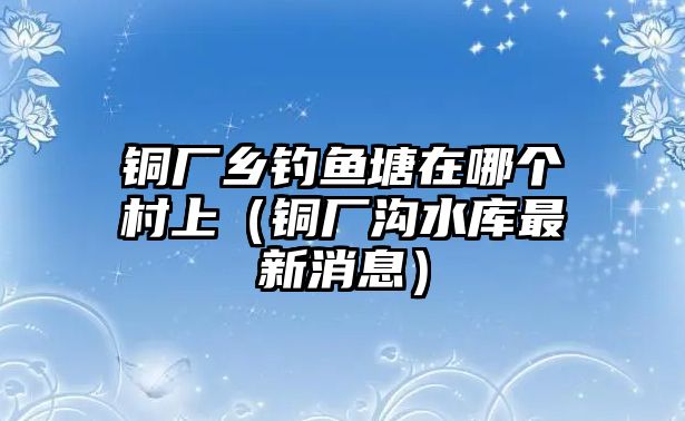 銅廠鄉(xiāng)釣魚塘在哪個村上（銅廠溝水庫最新消息）