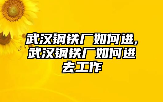 武漢鋼鐵廠如何進(jìn),武漢鋼鐵廠如何進(jìn)去工作