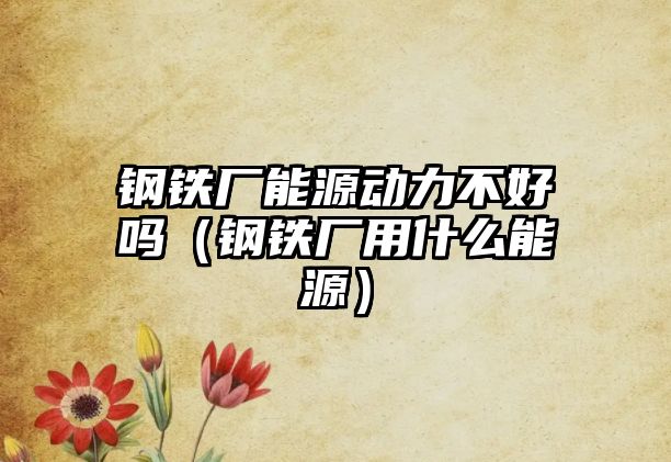 鋼鐵廠能源動力不好嗎（鋼鐵廠用什么能源）