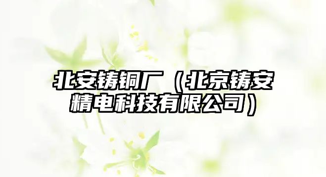 北安鑄銅廠（北京鑄安精電科技有限公司）