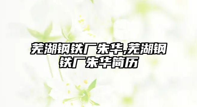 蕪湖鋼鐵廠朱華,蕪湖鋼鐵廠朱華簡(jiǎn)歷