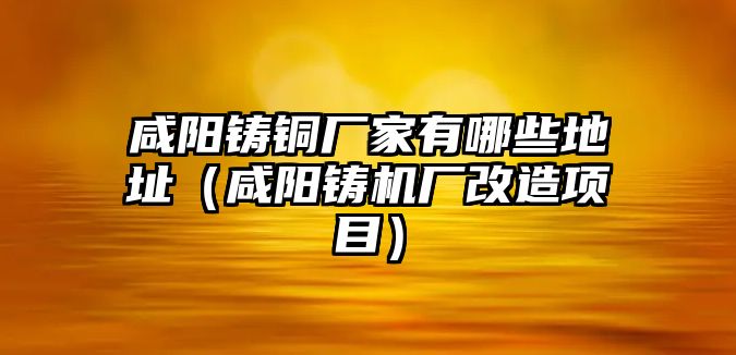 咸陽鑄銅廠家有哪些地址（咸陽鑄機廠改造項目）