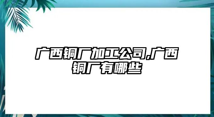 廣西銅廠加工公司,廣西銅廠有哪些