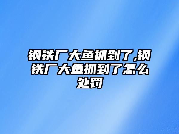 鋼鐵廠大魚抓到了,鋼鐵廠大魚抓到了怎么處罰