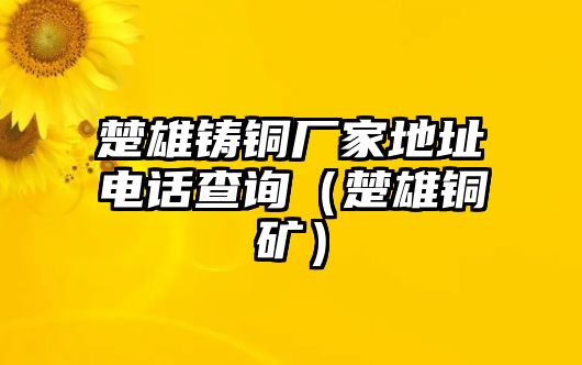 楚雄鑄銅廠家地址電話查詢（楚雄銅礦）