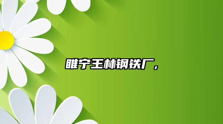 睢寧王林鋼鐵廠(chǎng),