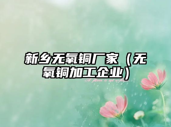 新鄉(xiāng)無氧銅廠家（無氧銅加工企業(yè)）