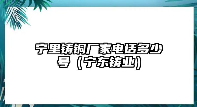 寧里鑄銅廠家電話多少號(hào)（寧東鑄業(yè)）