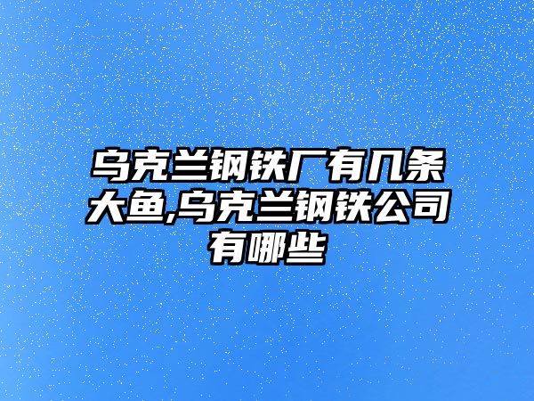 烏克蘭鋼鐵廠有幾條大魚,烏克蘭鋼鐵公司有哪些