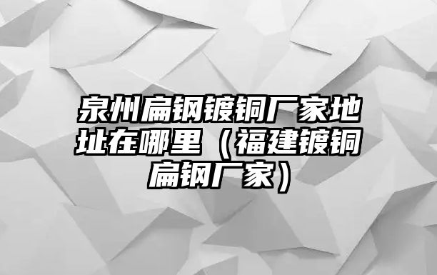 泉州扁鋼鍍銅廠家地址在哪里（福建鍍銅扁鋼廠家）