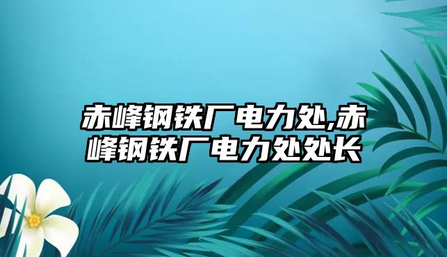 赤峰鋼鐵廠電力處,赤峰鋼鐵廠電力處處長