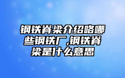 鋼鐵脊梁介紹咯哪些鋼鐵廠,鋼鐵脊梁是什么意思