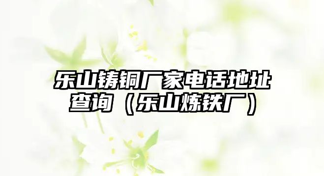 樂山鑄銅廠家電話地址查詢（樂山煉鐵廠）