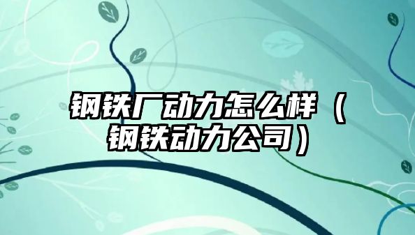 鋼鐵廠動力怎么樣（鋼鐵動力公司）