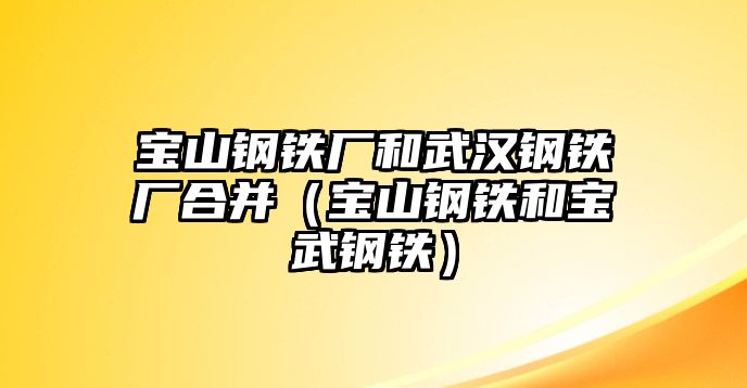 寶山鋼鐵廠和武漢鋼鐵廠合并（寶山鋼鐵和寶武鋼鐵）