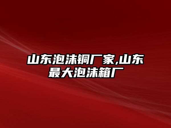 山東泡沫銅廠家,山東最大泡沫箱廠