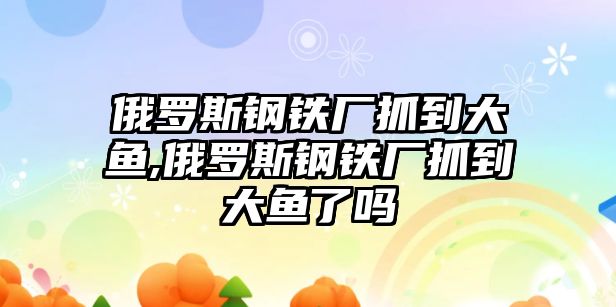 俄羅斯鋼鐵廠抓到大魚,俄羅斯鋼鐵廠抓到大魚了嗎