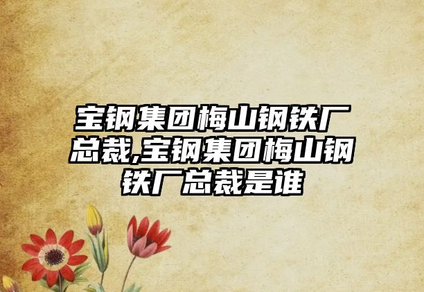 寶鋼集團(tuán)梅山鋼鐵廠總裁,寶鋼集團(tuán)梅山鋼鐵廠總裁是誰