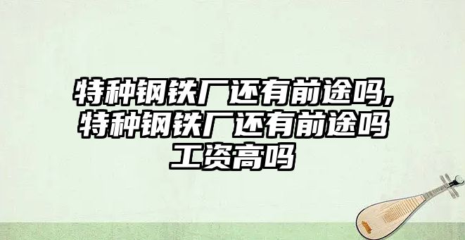 特種鋼鐵廠還有前途嗎,特種鋼鐵廠還有前途嗎工資高嗎