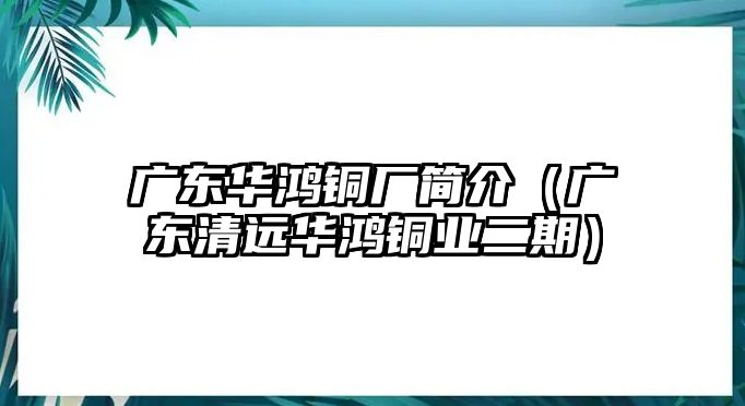 廣東華鴻銅廠簡(jiǎn)介（廣東清遠(yuǎn)華鴻銅業(yè)二期）