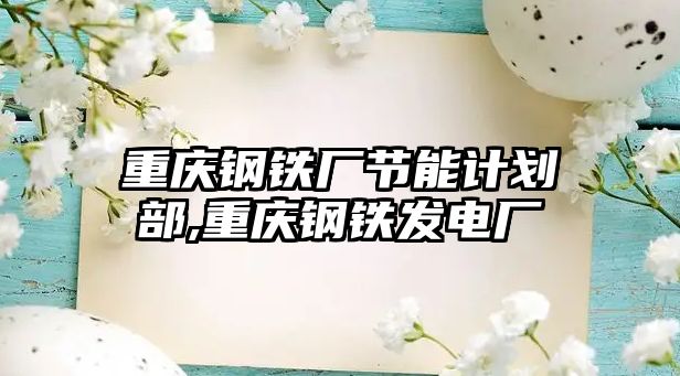 重慶鋼鐵廠(chǎng)節(jié)能計(jì)劃部,重慶鋼鐵發(fā)電廠(chǎng)