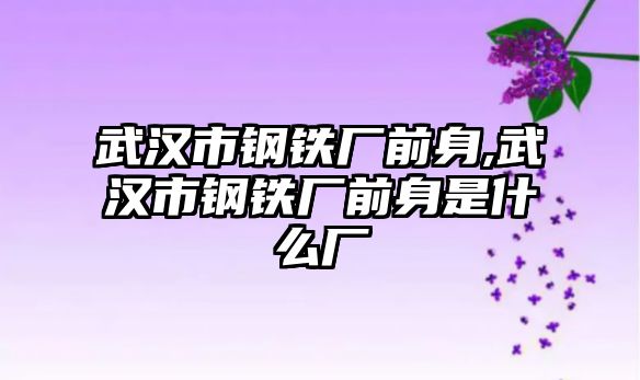 武漢市鋼鐵廠前身,武漢市鋼鐵廠前身是什么廠