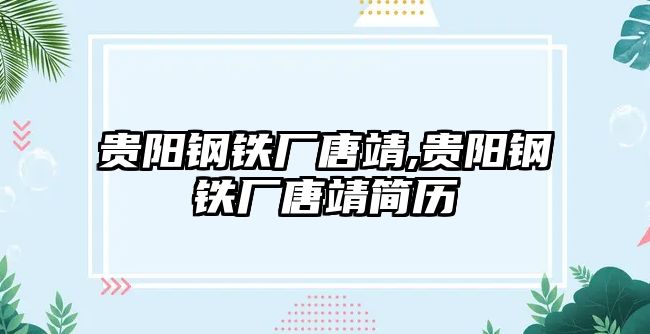 貴陽鋼鐵廠唐靖,貴陽鋼鐵廠唐靖簡歷