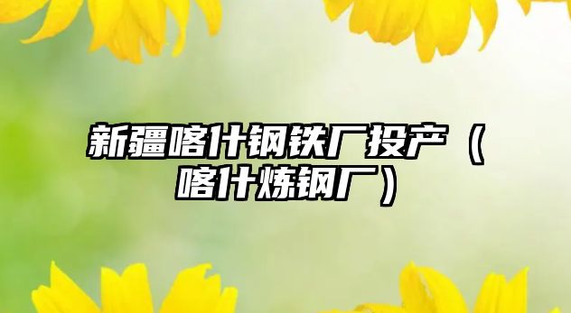 新疆喀什鋼鐵廠投產(chǎn)（喀什煉鋼廠）