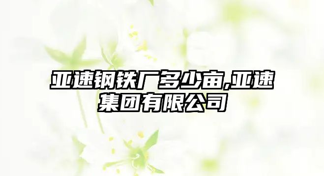 亞速鋼鐵廠多少畝,亞速集團(tuán)有限公司