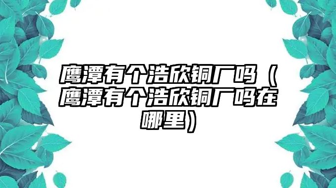 鷹潭有個浩欣銅廠嗎（鷹潭有個浩欣銅廠嗎在哪里）