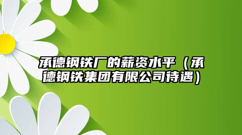 承德鋼鐵廠的薪資水平（承德鋼鐵集團(tuán)有限公司待遇）