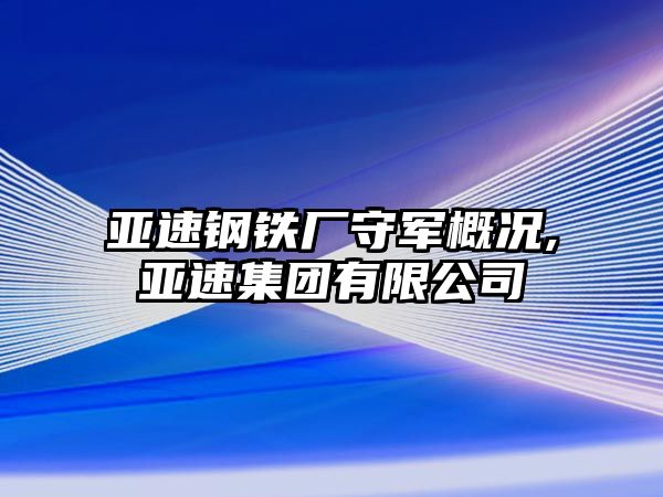 亞速鋼鐵廠守軍概況,亞速集團有限公司