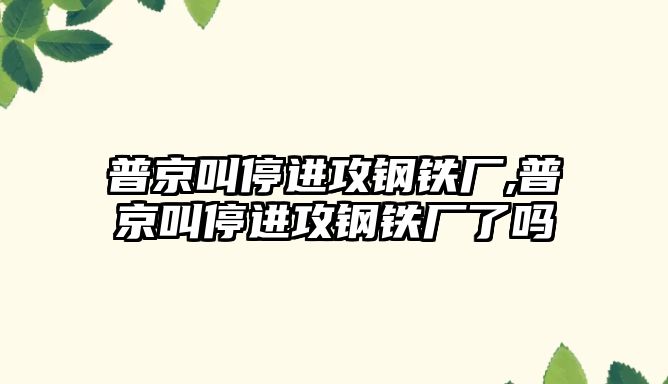 普京叫停進攻鋼鐵廠,普京叫停進攻鋼鐵廠了嗎