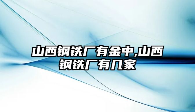 山西鋼鐵廠有金中,山西鋼鐵廠有幾家