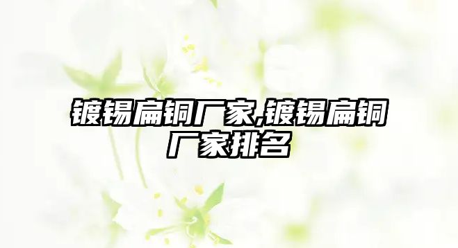 鍍錫扁銅廠家,鍍錫扁銅廠家排名