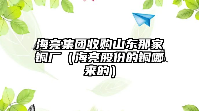 海亮集團收購山東那家銅廠（海亮股份的銅哪來的）