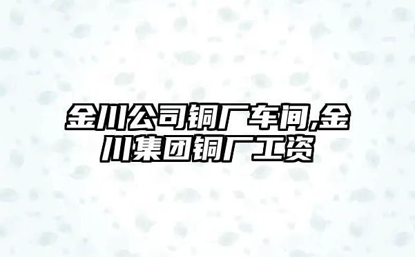 金川公司銅廠車間,金川集團(tuán)銅廠工資