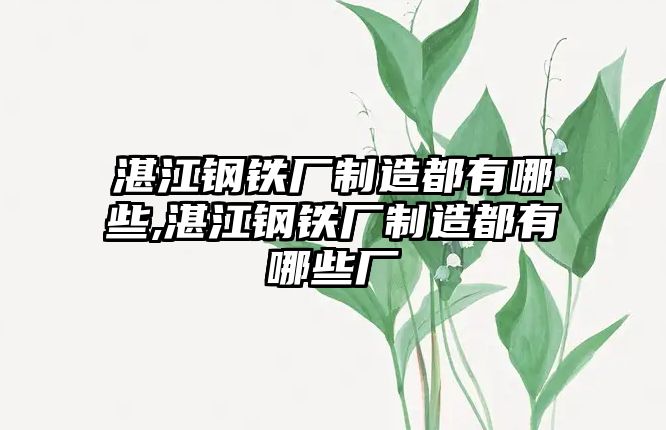 湛江鋼鐵廠制造都有哪些,湛江鋼鐵廠制造都有哪些廠