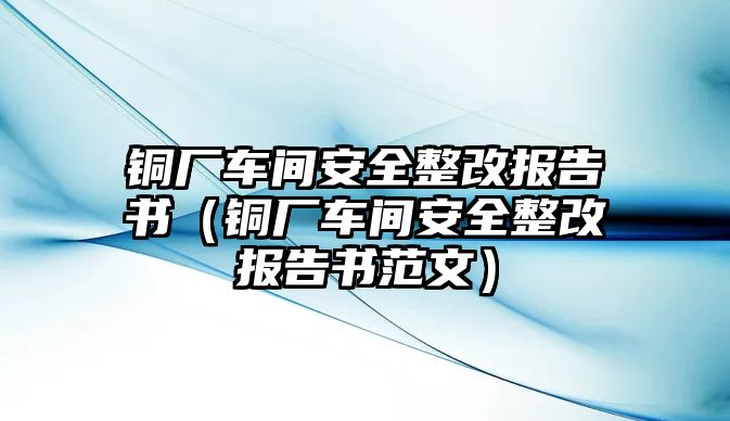 銅廠車間安全整改報(bào)告書（銅廠車間安全整改報(bào)告書范文）