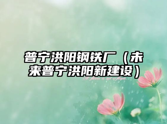 普寧洪陽鋼鐵廠（未來普寧洪陽新建設）