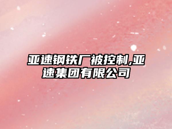 亞速鋼鐵廠被控制,亞速集團有限公司