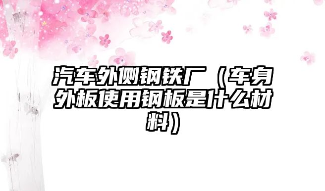 汽車外側(cè)鋼鐵廠（車身外板使用鋼板是什么材料）