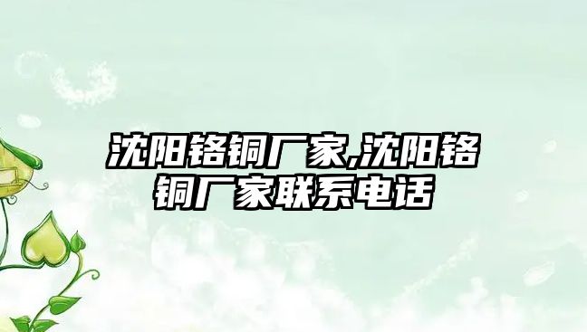 沈陽(yáng)鉻銅廠家,沈陽(yáng)鉻銅廠家聯(lián)系電話