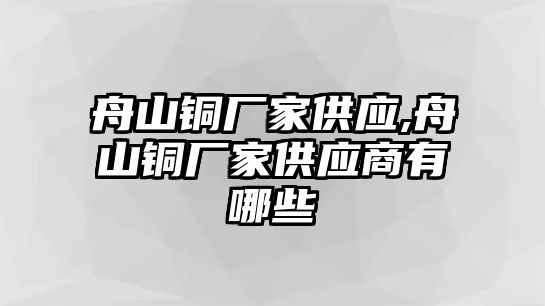 舟山銅廠家供應,舟山銅廠家供應商有哪些