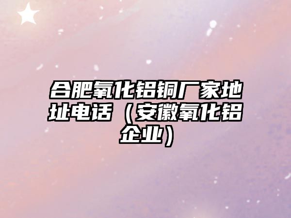 合肥氧化鋁銅廠家地址電話（安徽氧化鋁企業(yè)）