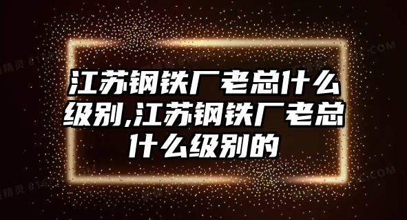 江蘇鋼鐵廠老總什么級(jí)別,江蘇鋼鐵廠老總什么級(jí)別的